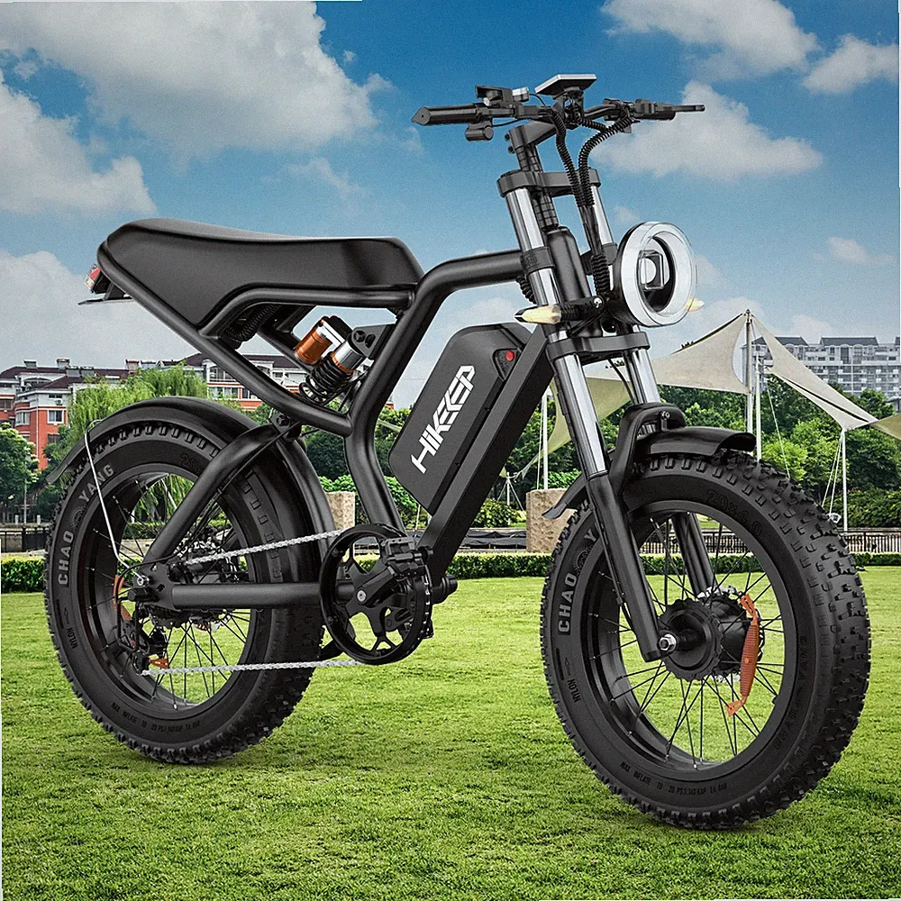 Lights Fat Tire Bike